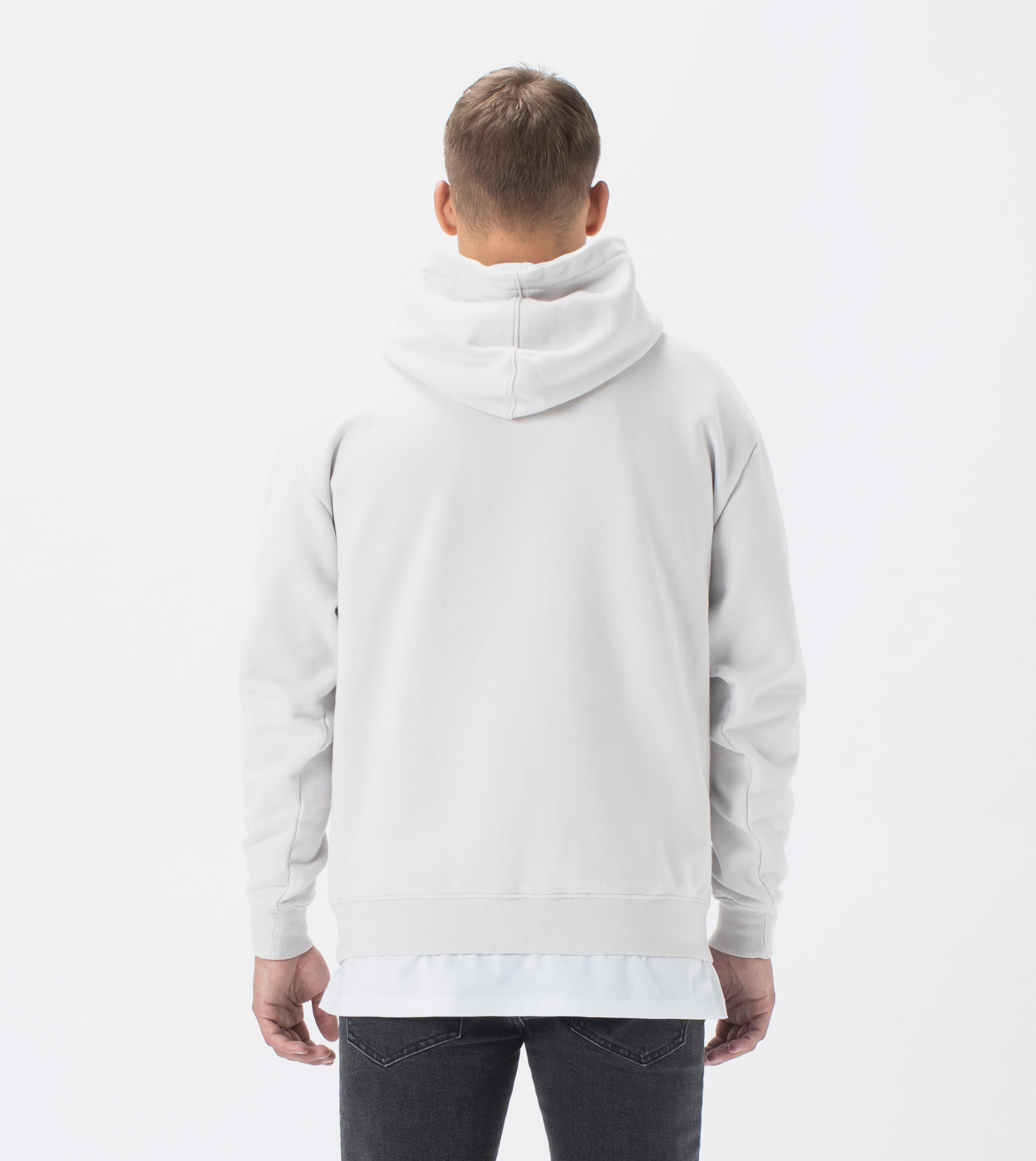 Snake Lowgo Hood Sweat Frost